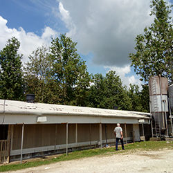 Slika 6